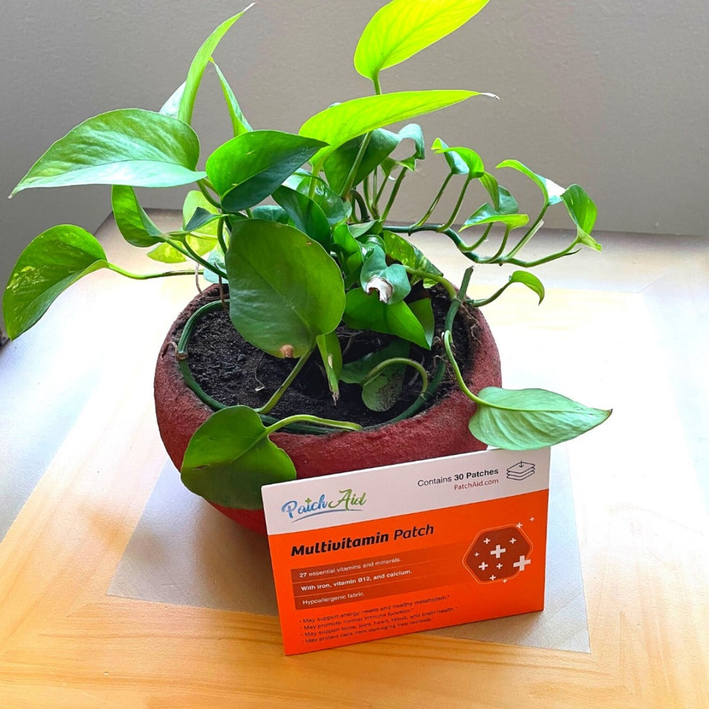 A green pothos plant grows in a round, terracotta pot beside a PatchAid Multivitamin Patch box, highlighting the convenience of vitamin patches for busy lifestyles on a light wooden surface.