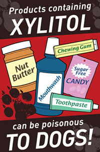 Products Containing Xylitol Can Be Poisonous To Dogs