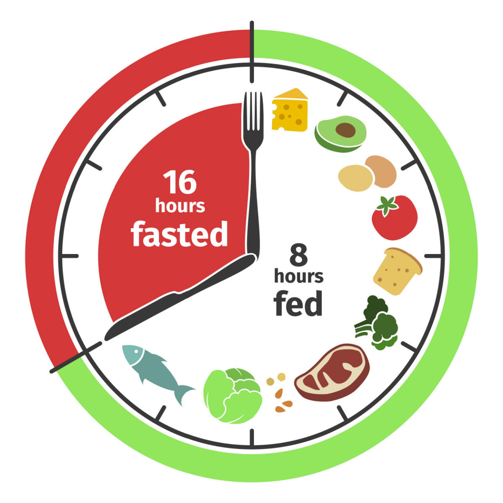 A round clock graphic shows a divided circle with a red section labeled "16 hours fasted" and a green section labeled "8 hours fed," surrounded by various food icons like fish, vegetables, and cheese.