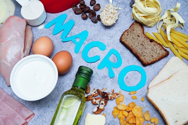 The Surprising Role of Macros in Muscle Building and Recovery: A Deep Dive with Netrition