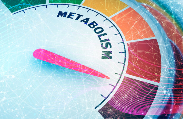 Understanding Metabolism: How It Impacts Weight Loss and What You Can Do About It