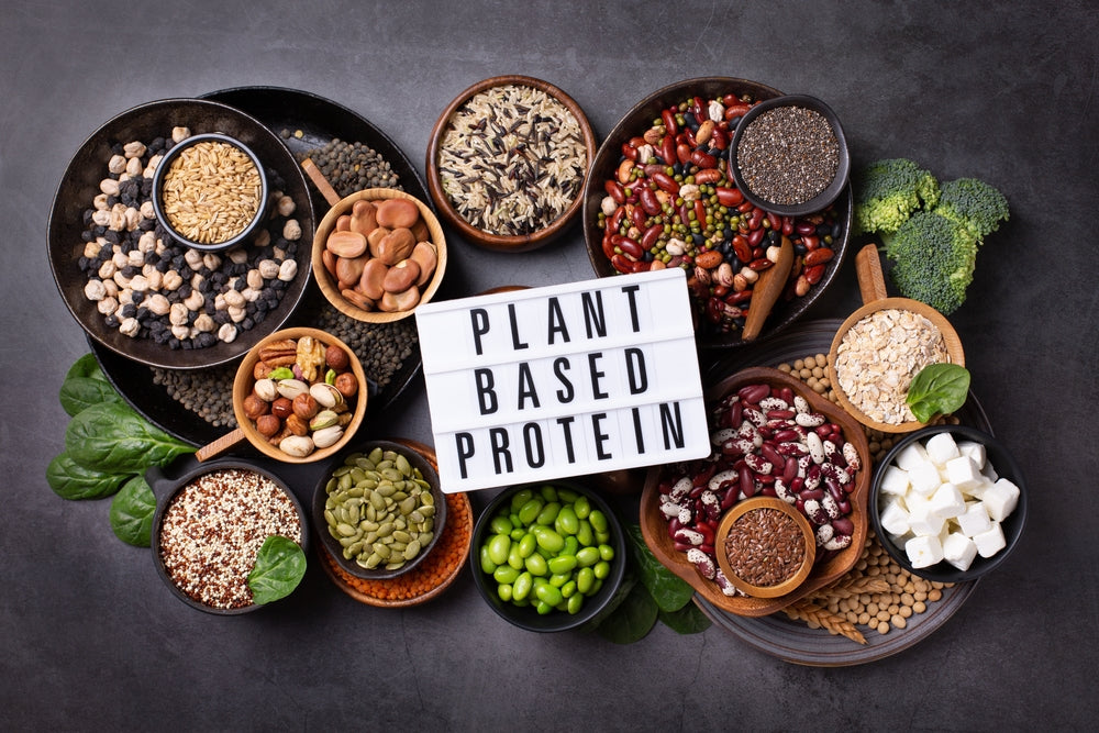 A variety of plant-based protein sources, including legumes, seeds, and grains, are arranged in bowls on a dark surface, with a sign reading "PLANT BASED PROTEIN" prominently displayed in the center.