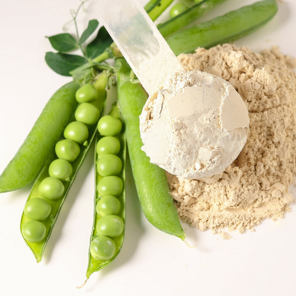 A scoop of light-colored pea protein powder sits next to fresh green pea pods filled with round peas, arranged on a white surface.