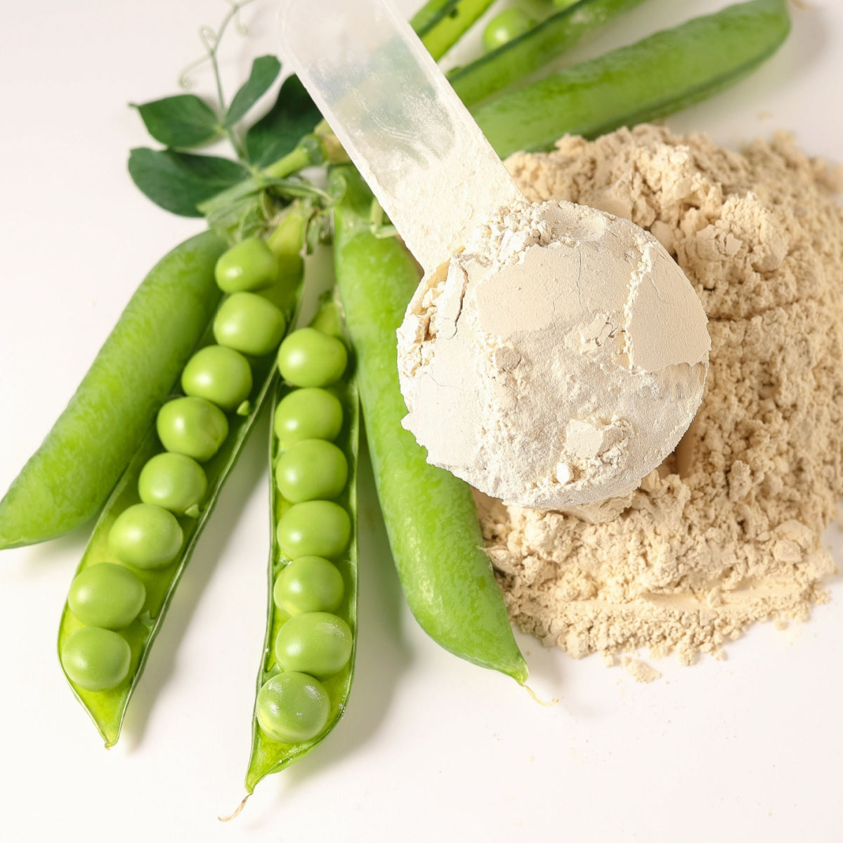 A scoop of light-colored pea protein powder sits next to fresh green pea pods filled with round peas, arranged on a white surface.