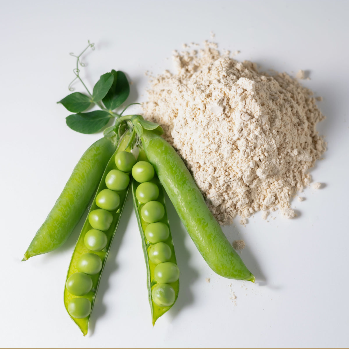 Three green pea pods with peas inside are placed next to a mound of light-colored pea flour on a white surface, accompanied by a small green leaf.