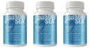 Journey Sea Joint Support by Bariatric Eating (CLEARANCE: Beset by April 30, 2025)