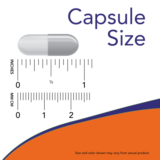 NOW Boswellia Extract 120 veg capsules