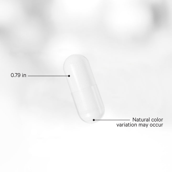 Codeage Akkermansia - Probiotic & Prebiotic 100 Million AFUs