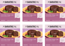 BariatricPal 12g Protein Cake - Chocolate Fudge