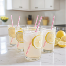 Jordan's Skinny Mixes Sugar Free Lemonade Syrup Concentrate