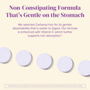 BariMelts Iron + Vitamin C - 90 Fast-Dissolving Tablets - Natural Orange Flavor