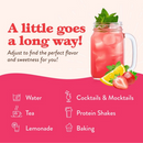 Jordan's Skinny Mixes Sugar Free Strawberry Pink Lemonade Syrup Concentrate