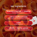 Bright orange citrus peels serve as the background for a list of key ingredients, including acerola cherries, citrus bioflavonoids, rutin, alfalfa, and barley grass, highlighting their health benefits.