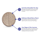 Bari Life Just One Multivitamin with Iron Chewable - Mixed Berry 