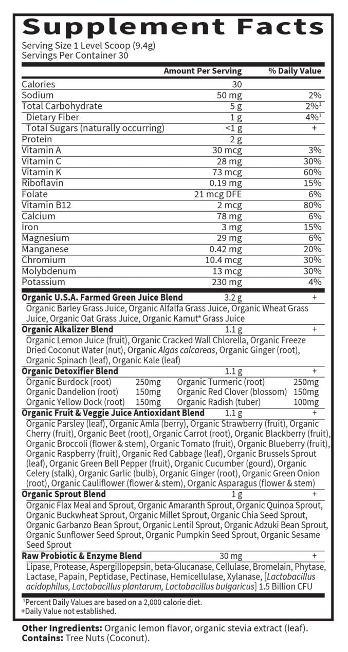 Garden of Life Perfect Food RAW Alkalizer & Detoxifier Powder 9.94 oz. (282 g) 