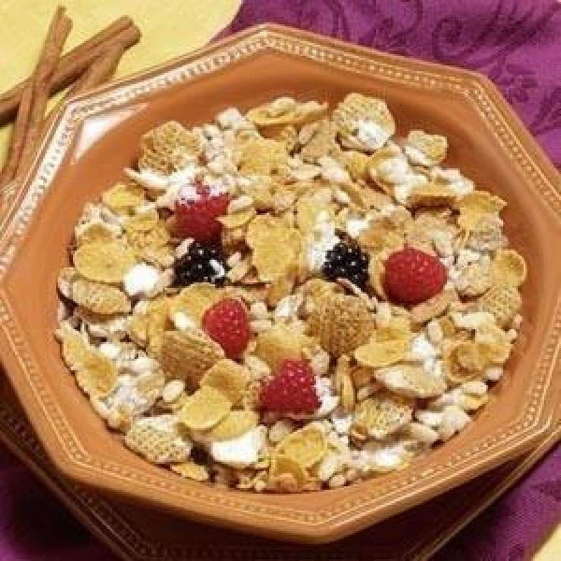 BariatricPal Protein Cereal Breakfast Entree - Cinnamon Crunch 